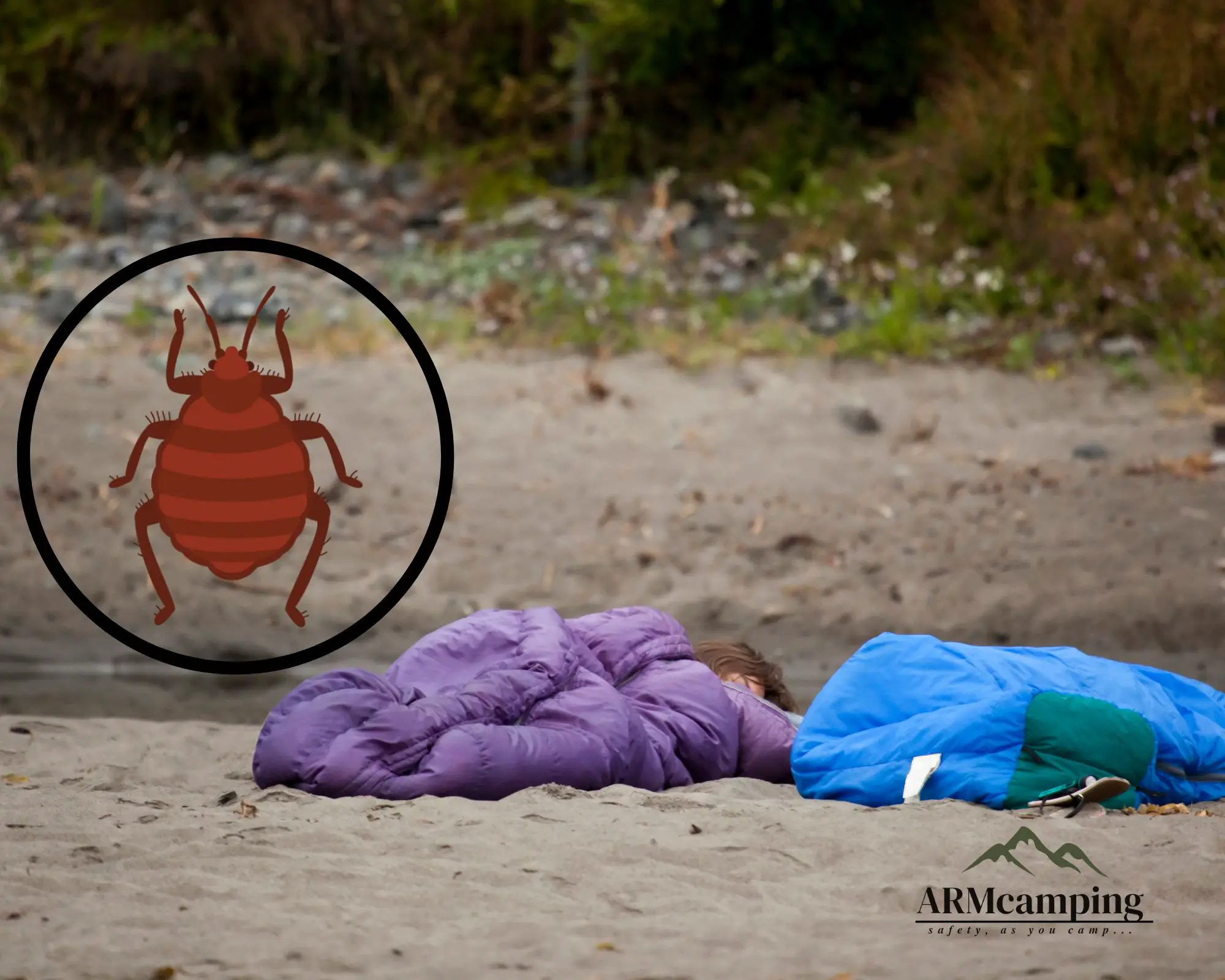Can Bed Bugs Penetrate Sleeping Bag? 