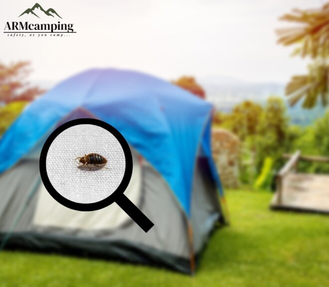 Can You Get Bed Bugs From Tent Camping?